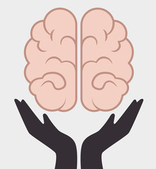 Intelligence of the human brain 