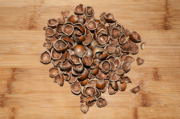 gusci di nocciola