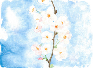 Watercolor blossom tree art