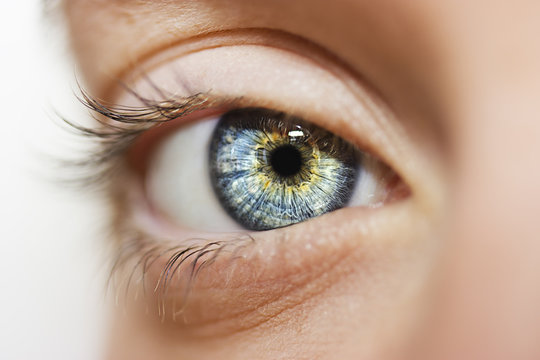 insightful look blue eyes