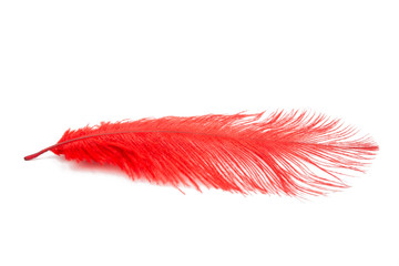 Red feather