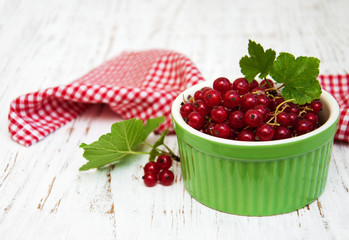 fresh red currant