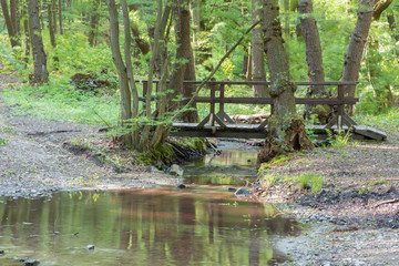 little bridge in spring forest in Little Carpatian