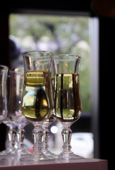 Glasses of white wine on the bar at restaurant