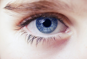 insightful look blue eyes boy