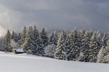 paysage hivernal