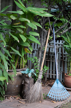 Garden with plants, a broom and a rake