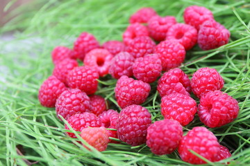 Scattering of the fresh-picked forest raspberries (Rubus idaeus) lying on the horsetail stems