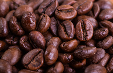 Coffee beans coffee beans