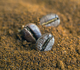 Coffee beans coffee beans
