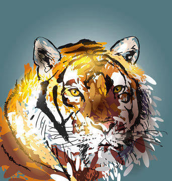Colorful vector illustration head tiger
