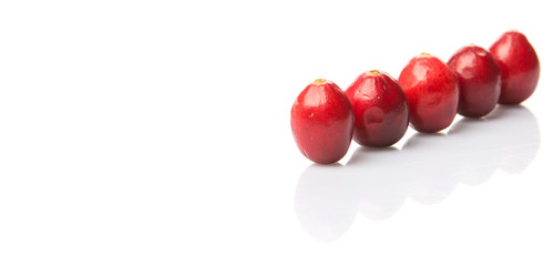 Cranberries fruit over white background