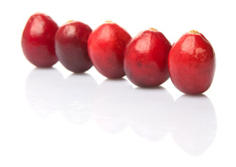 Cranberries fruit over white background