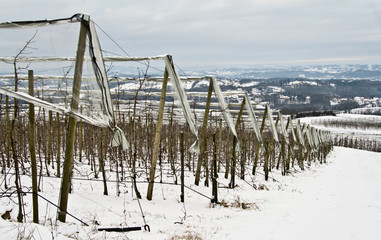 Allassac (Corrèze)