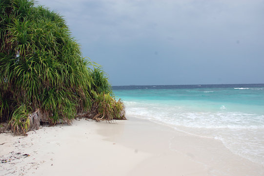 Empty white sand beach Maldives