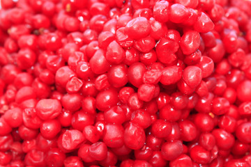 berries of red schizandra