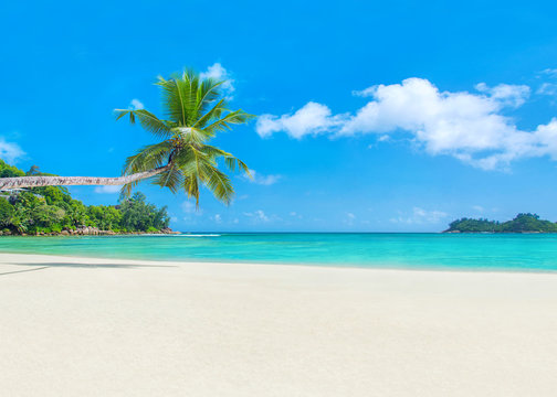 Palm beach Baie Lazare, Seychelles, Mahe island, Indian ocean pa