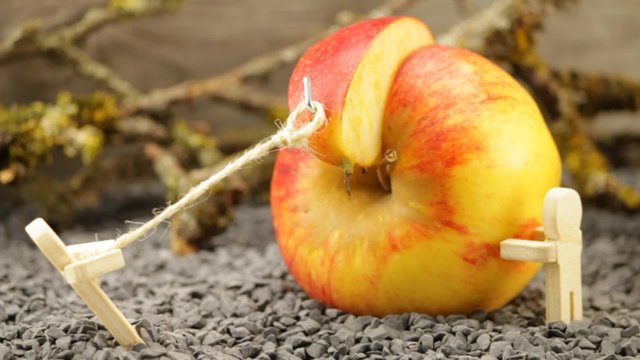 Obst bringt Energie und Kraft
