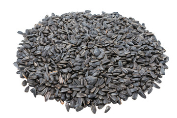 A bunch of sunflower Seeds