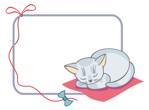 Horizontal frame with sleeping white cat
