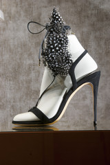 fashion shoe
