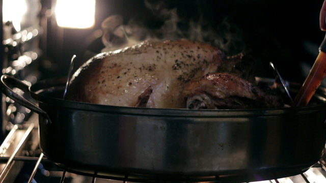 closeup of a seasoned turkey in the oven being basted