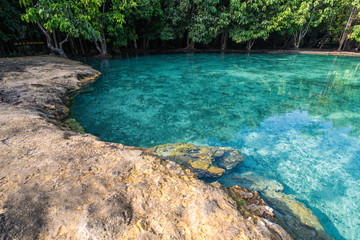 Emerald pool at Krabi Thailand