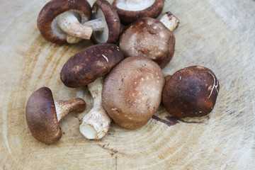 shiitake mushrooms on a wooden cutting board