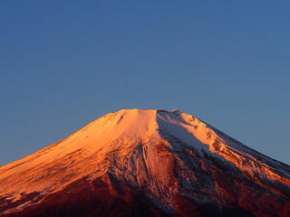Fototapeta premium 紅富士