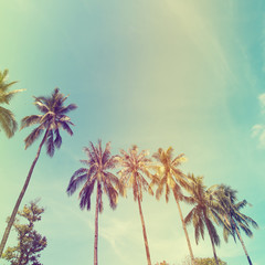 Landscape of palm trees at tropical coast, vintage effect filter and stylized
