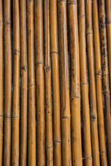 Bamboo wall