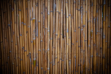 Bamboo wall