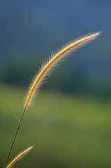 Broga Hill Malaysia..