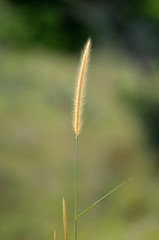 Broga Hill Malaysia..