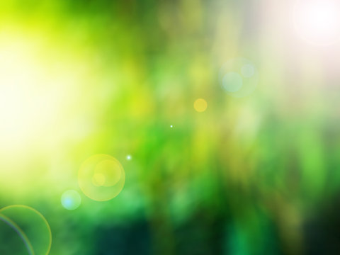 abstract blur background for web design,green forest colorful ba