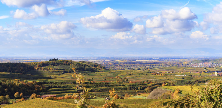 Kaiserstuhl: von Bickensohl in die Vogesen
