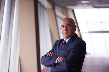 Fototapeta premium senior business man portrait