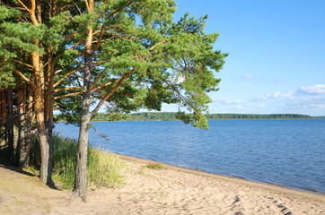 Lake Seliger, Tver region, Russia