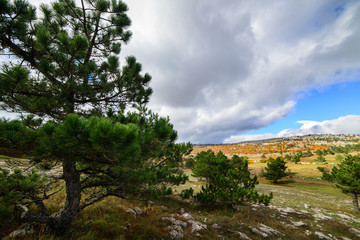 Nature of the Crimea