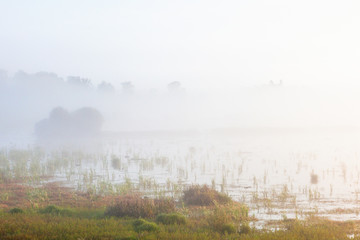 Foggy beach landscape in autumn;