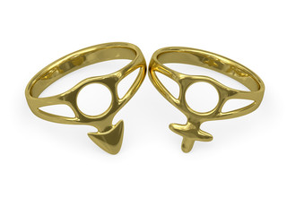 Wedding rings with male and female symbols