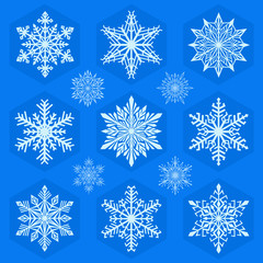 Fototapeta na wymiar Snowflakes icons collection. Vector Snowflakes set. Winter series labels. Flat style.