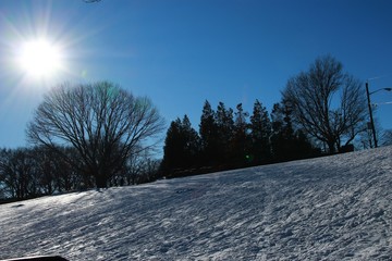 sun sky tree snow and blue