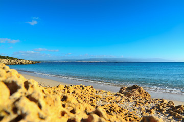 yellow rocks in Lazzaretto foreshore