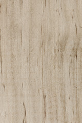 Fototapeta na wymiar Grungy painted wood texture as background.