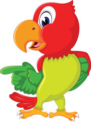Cartoon cute parrot  of illustration
