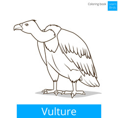 Vulture bird learn birds coloring book vector