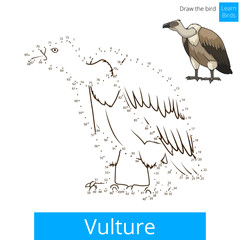 Vulture bird learn to draw vector