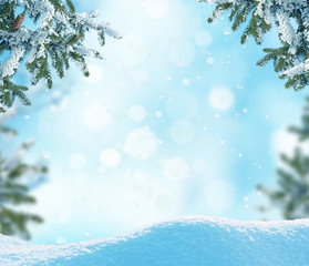 Winter Christmas background with fir tree branch and cones
