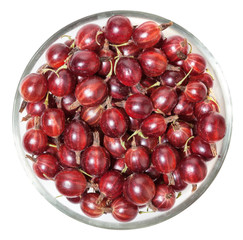 Gooseberry isolated on white background with clipping path